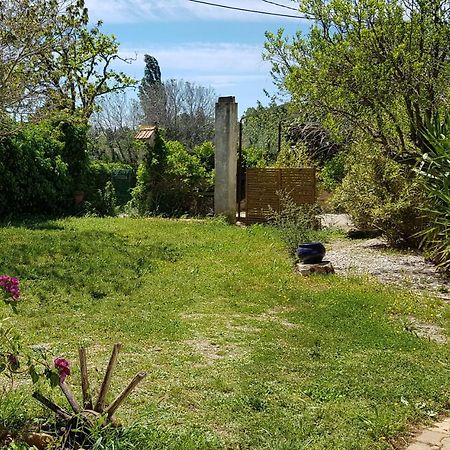 Petite Maison Refaite A Neuf Dans Mas Du 19Eme Siecle Arles Dış mekan fotoğraf