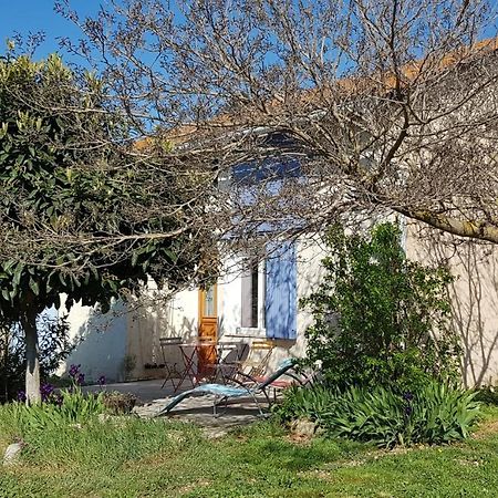 Petite Maison Refaite A Neuf Dans Mas Du 19Eme Siecle Arles Dış mekan fotoğraf