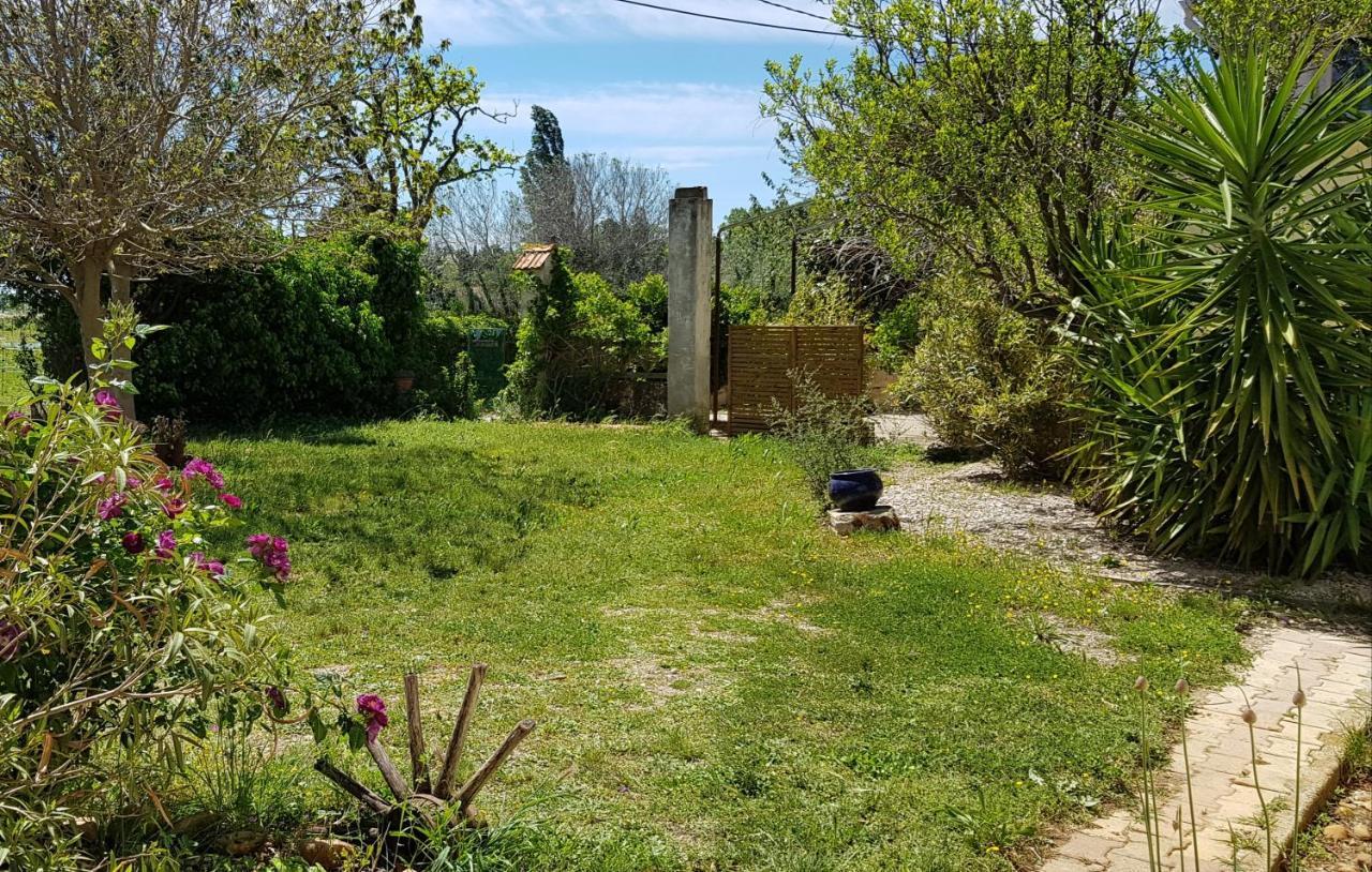 Petite Maison Refaite A Neuf Dans Mas Du 19Eme Siecle Arles Dış mekan fotoğraf