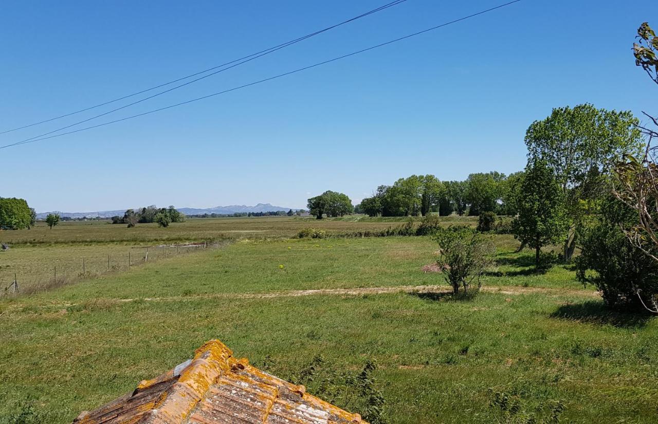 Petite Maison Refaite A Neuf Dans Mas Du 19Eme Siecle Arles Dış mekan fotoğraf