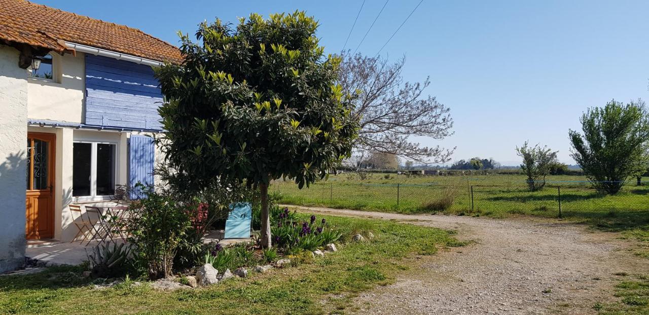 Petite Maison Refaite A Neuf Dans Mas Du 19Eme Siecle Arles Dış mekan fotoğraf