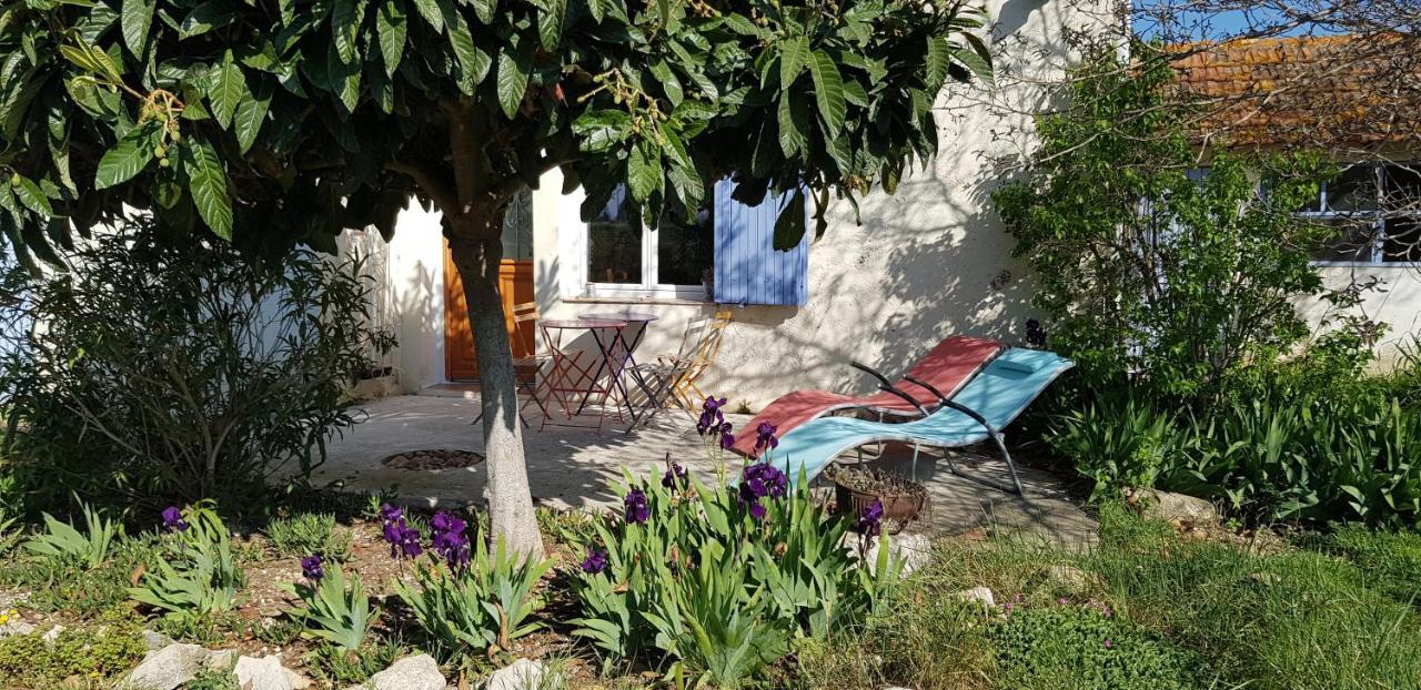 Petite Maison Refaite A Neuf Dans Mas Du 19Eme Siecle Arles Dış mekan fotoğraf