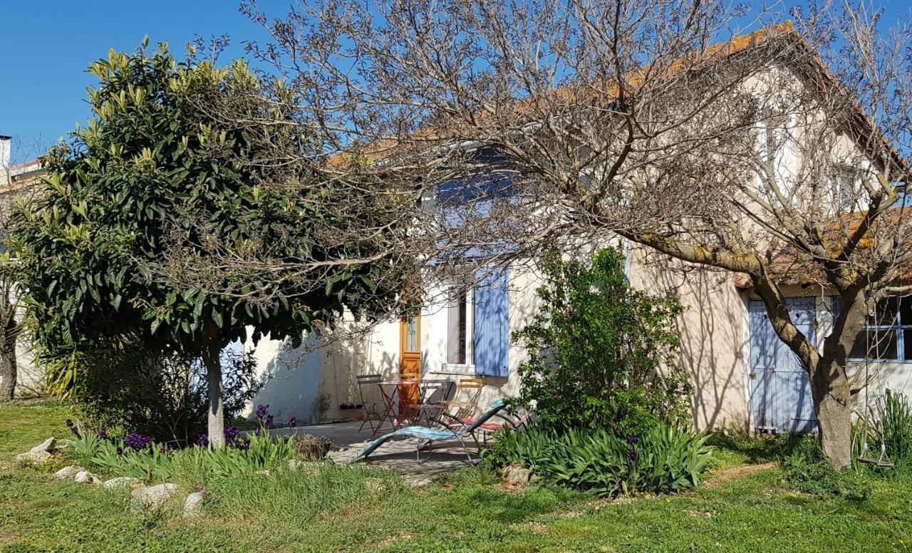 Petite Maison Refaite A Neuf Dans Mas Du 19Eme Siecle Arles Dış mekan fotoğraf