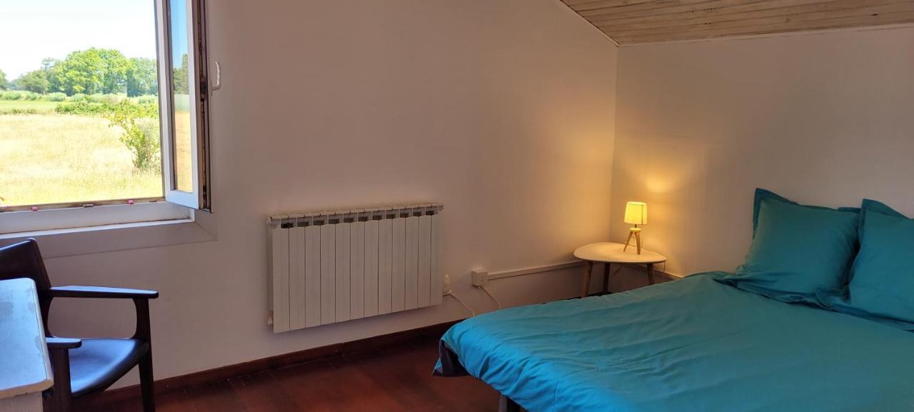 Petite Maison Refaite A Neuf Dans Mas Du 19Eme Siecle Arles Dış mekan fotoğraf